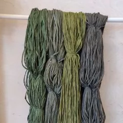 Matonkudelajitelma 5-6 Kg 10 Matonkudelajitelma 5-6 Kg -Piha & Puutarha Sales Store gekko web 1 1