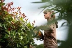 Stihl HSA 56 Akkupensasleikkuri 9 Stihl HSA 56 Akkupensasleikkuri -Piha & Puutarha Sales Store hsa56 action xv