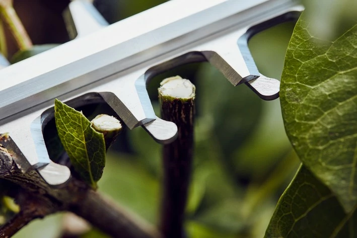 Stihl HSA 56 Akkupensasleikkuri 5 Stihl HSA 56 Akkupensasleikkuri - Image 3