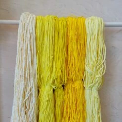 Matonkudelajitelma 5-6 Kg -Piha & Puutarha Sales Store keltaiset web 1 1